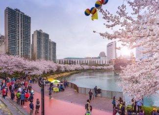 Đến hồ Seokchon Hàn Quốc - chiêm ngưỡng cảnh hoa anh đào khoe sắc rực rỡ