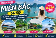 Review Tour Miền Bắc 6N5Đ: Hạ Long – Ninh Bình – Hà Nội – Sapa Có Đáng Đi Không?